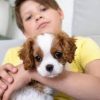 images (2) images (2)